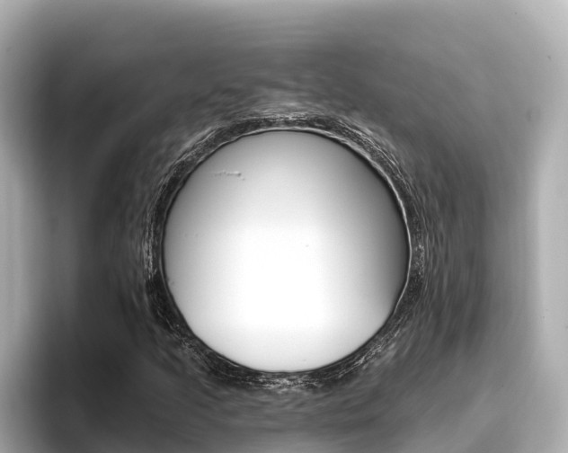 X0000096681205200802051023