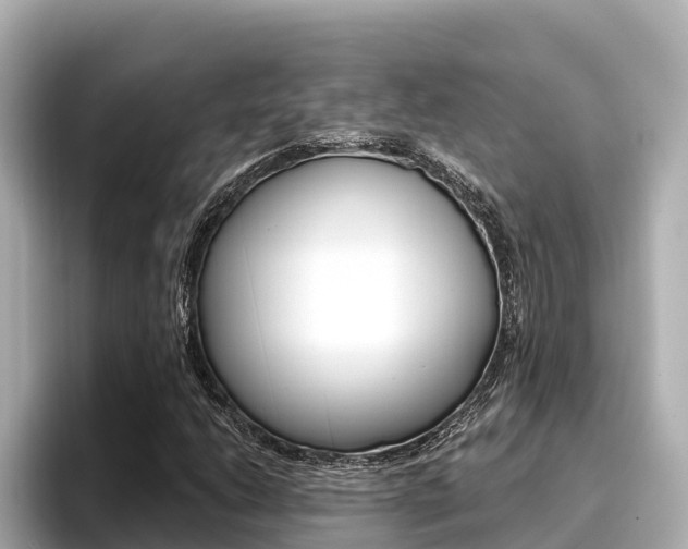 X0000096681206200802051023