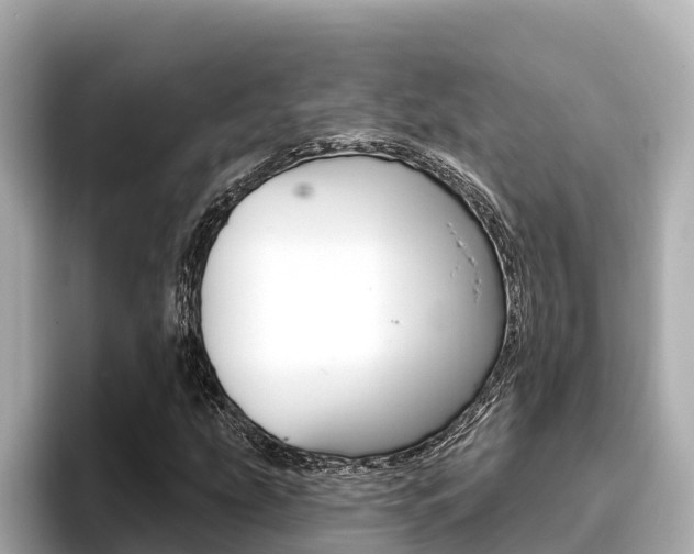 X0000096681207200802051023