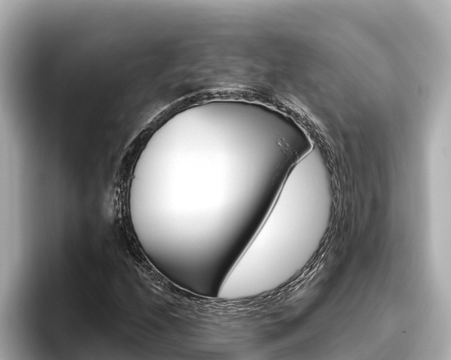 X0000096681208200802051023