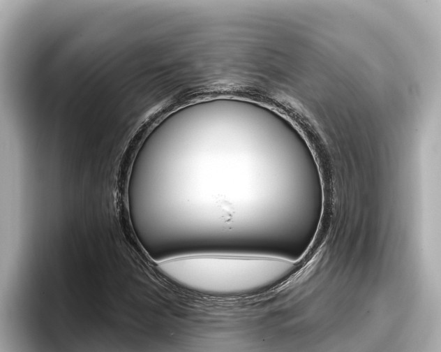 X0000096681210200802051023