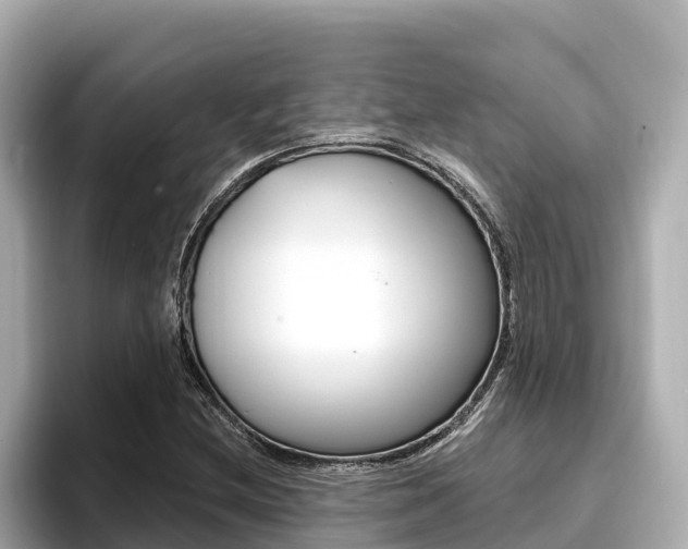 X0000096681212200802051023