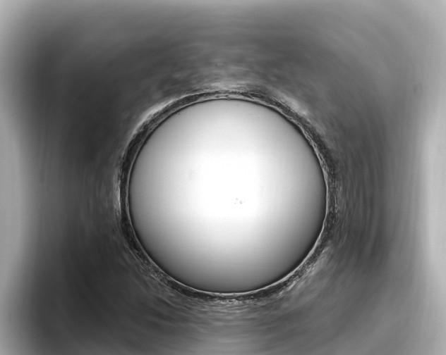 X0000096681214200802051023
