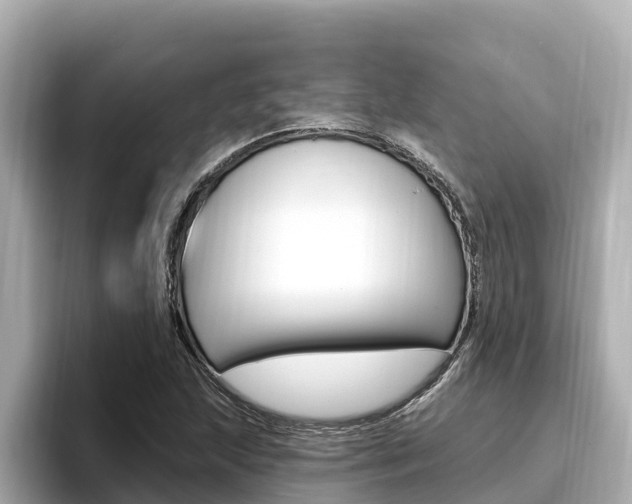 X0000096681215200802051023