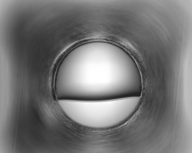 X0000096681216200802051023