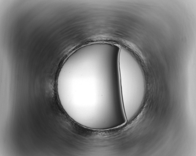 X0000096681217200802051023