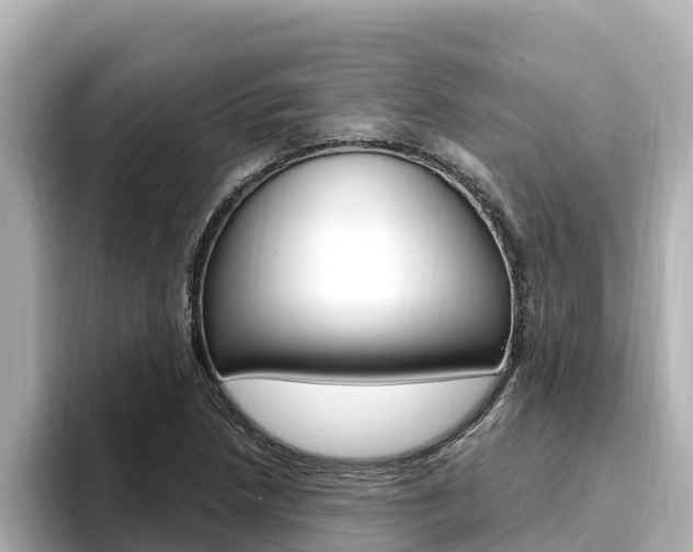 X0000096681218200802051023