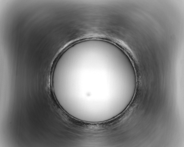 X0000096681220200802051023