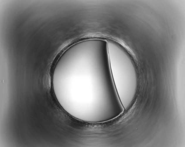 X0000096681221200802051023