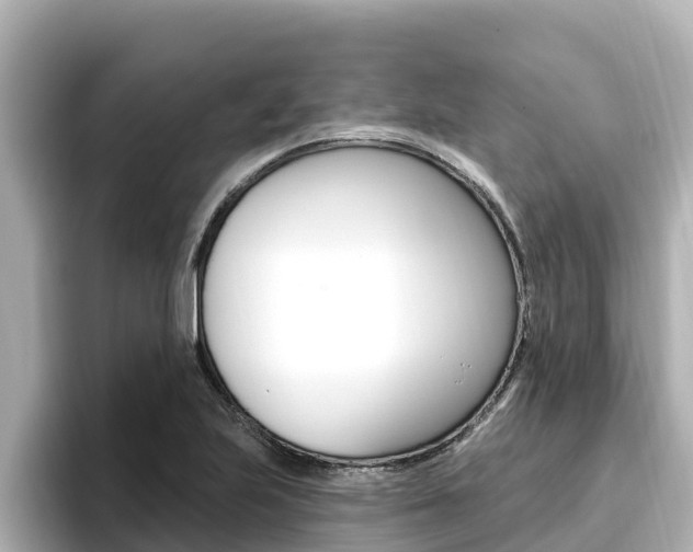 X0000096681223200802051023