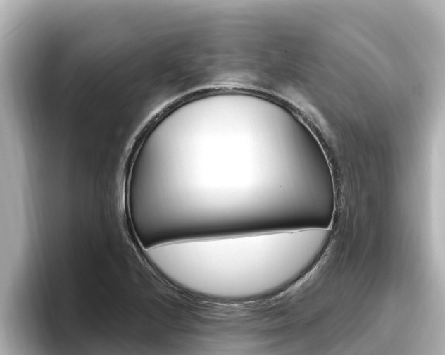 X0000096681224200802051023