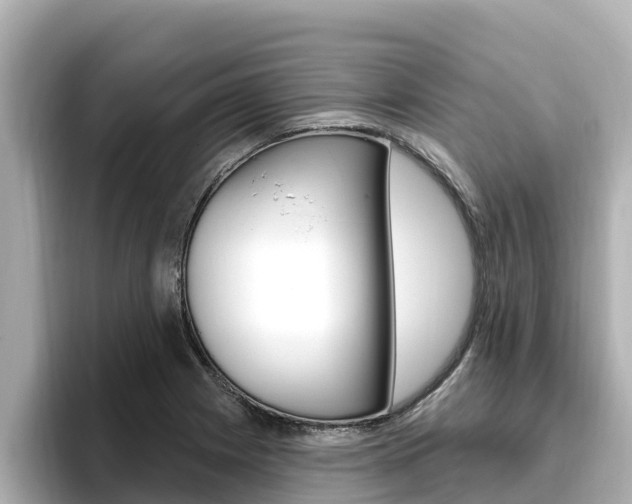 X0000096681225200802051023