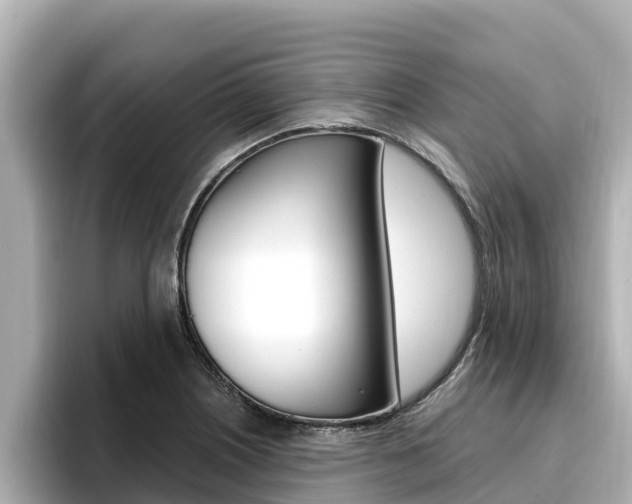 X0000096681226200802051023