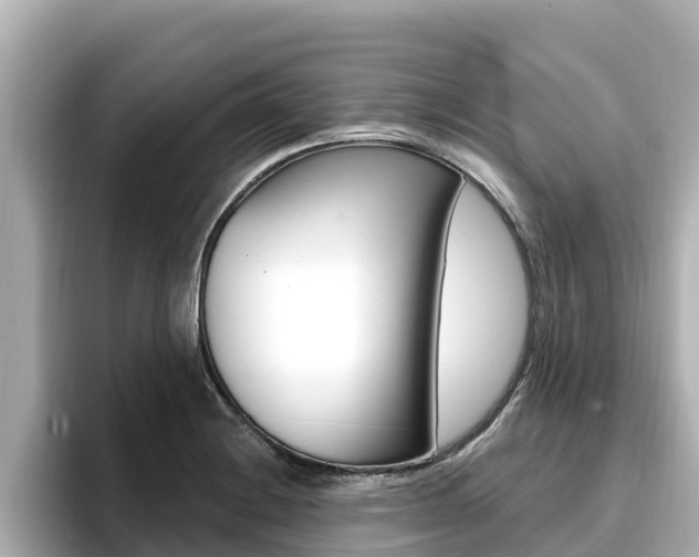 X0000096681228200802051023