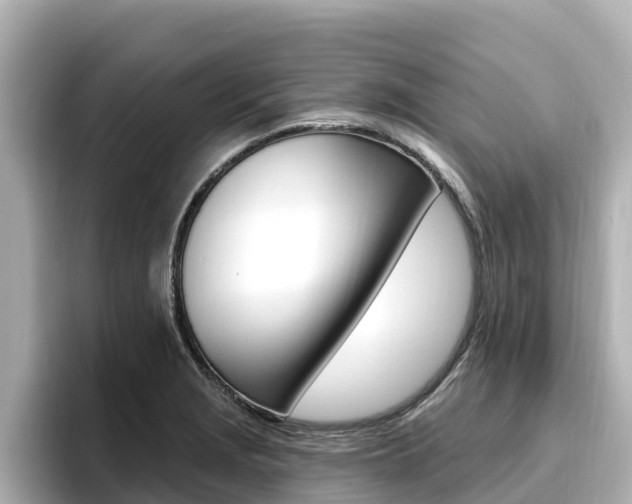 X0000096681229200802051023