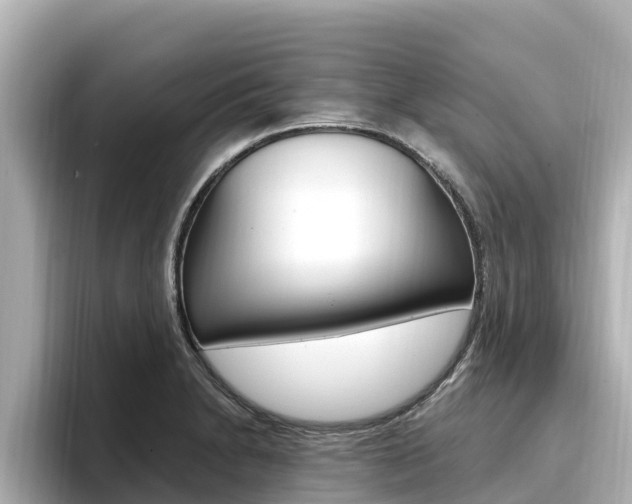 X0000096681230200802051023
