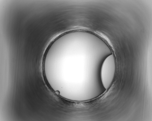 X0000096681231200802051023