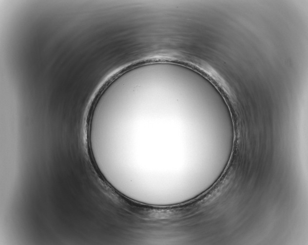 X0000096681232200802051023