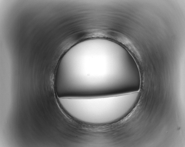 X0000096681233200802051023