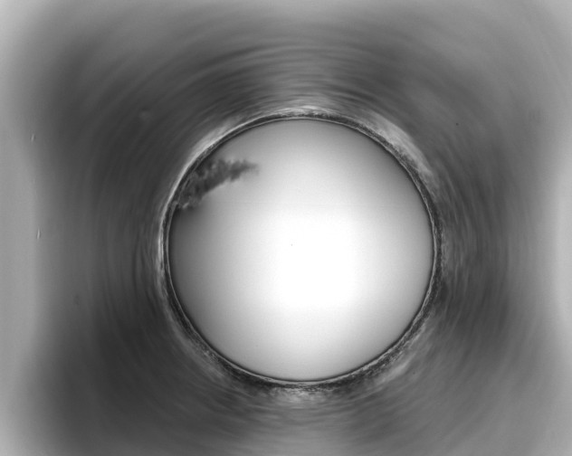 X0000096681234200802051023