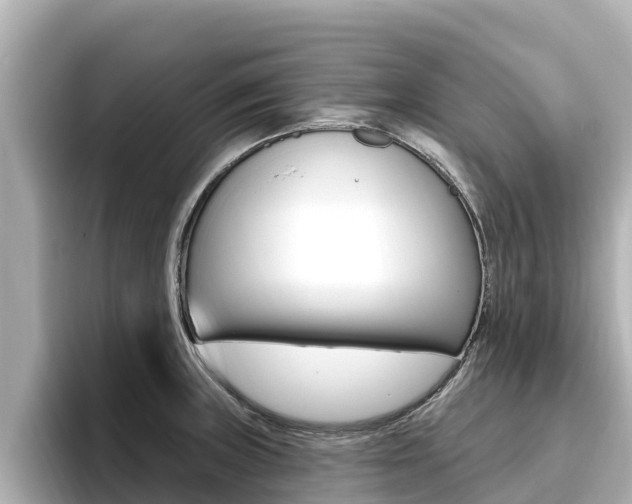 X0000096681235200802051023