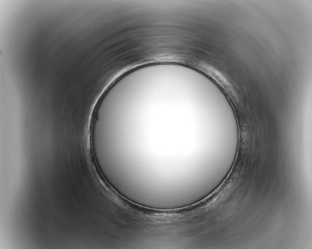 X0000096681236200802051023