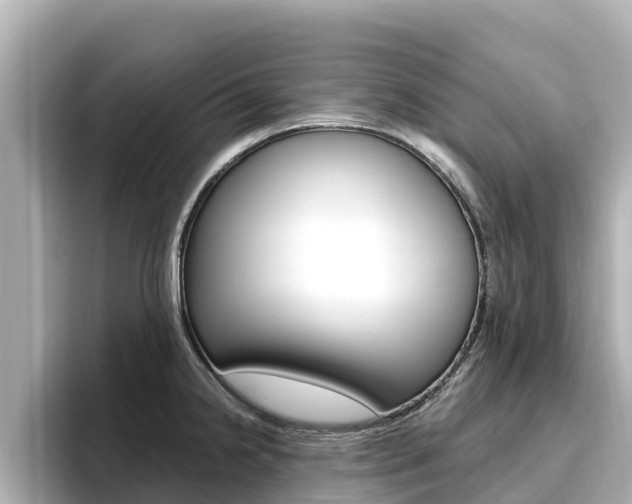 X0000096681238200802051023