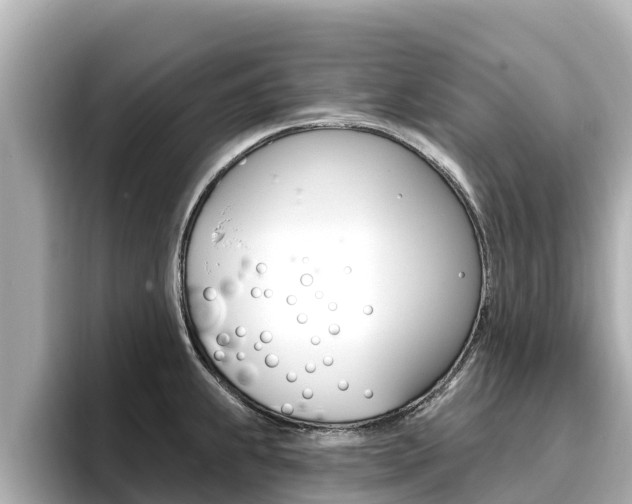 X0000096681239200802051023
