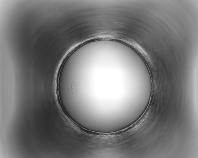 X0000096681240200802051023