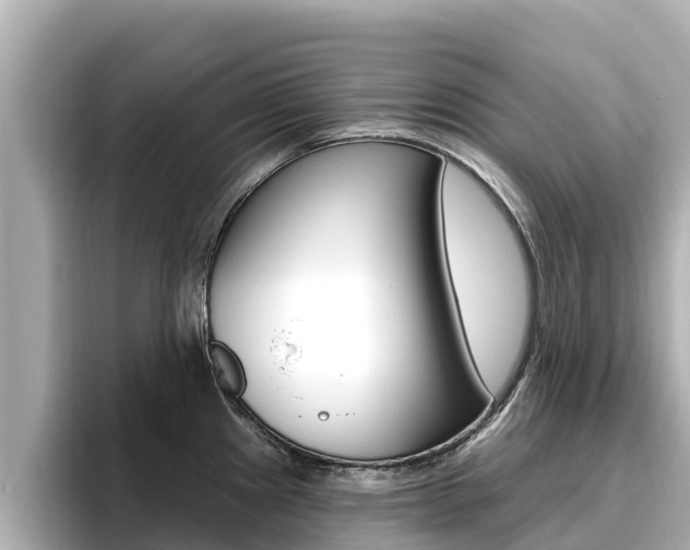 X0000096681241200802051023