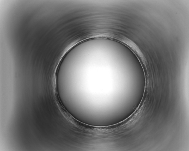 X0000096681242200802051023