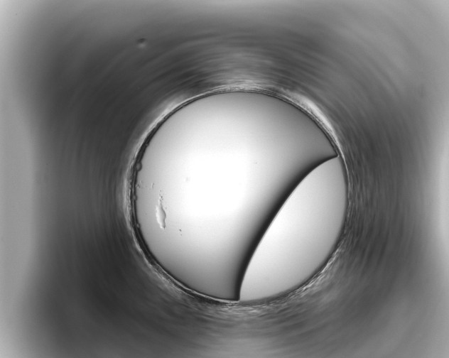 X0000096681243200802051023