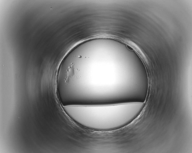 X0000096681244200802051023