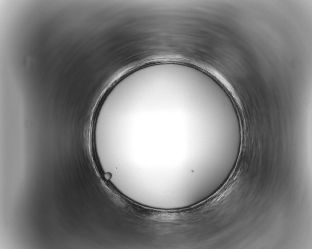 X0000096681245200802051023
