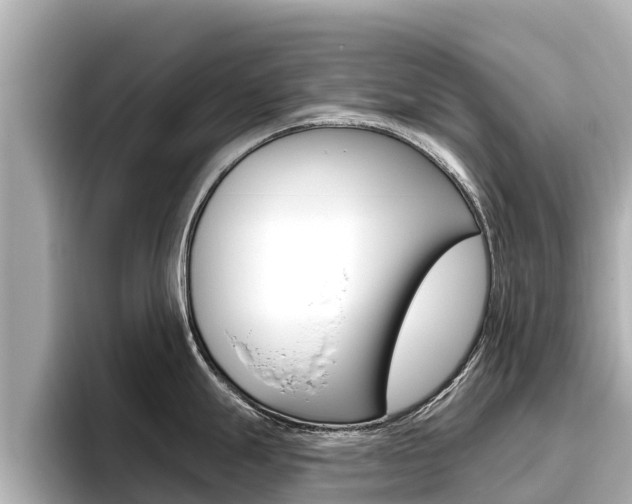 X0000096681247200802051023