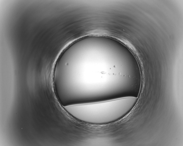 X0000096681248200802051023