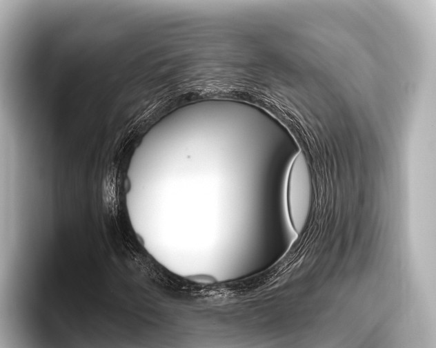 X0000096681250200802051023
