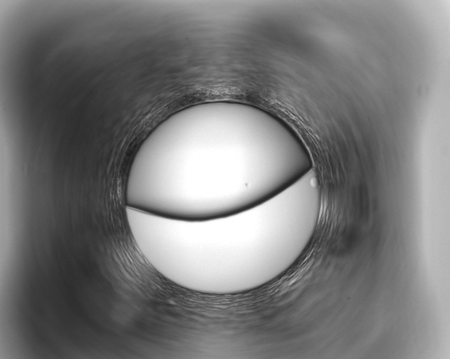 X0000096681251200802051023