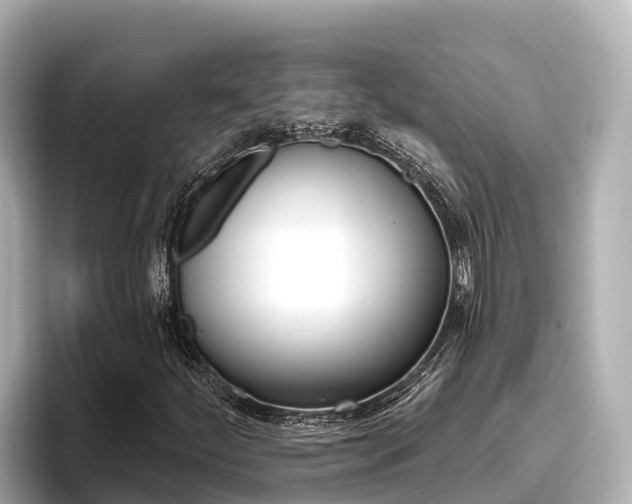 X0000096681252200802051023