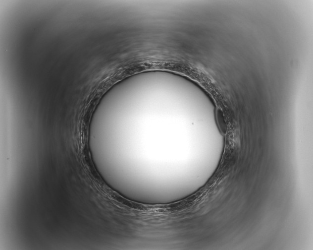 X0000096681253200802051023