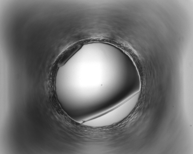 X0000096681256200802051023
