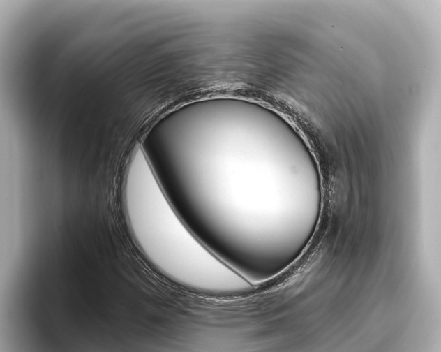 X0000096681257200802051023