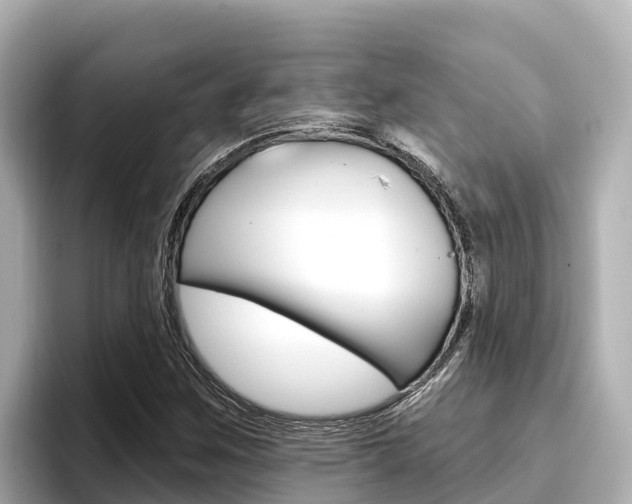 X0000096681259200802051023
