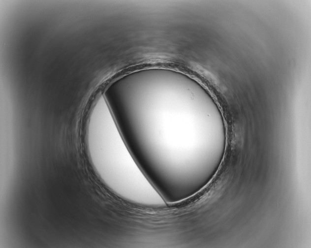 X0000096681261200802051023