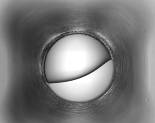 X0000096681262200802051023