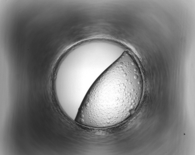 X0000096681263200802051023