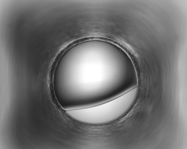 X0000096681264200802051023