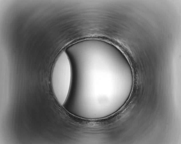 X0000096681265200802051023