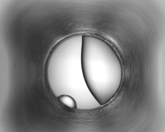 X0000096681267200802051023