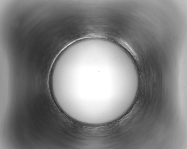 X0000096681268200802051023